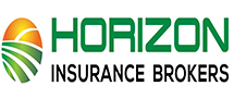 Horizon Insurance